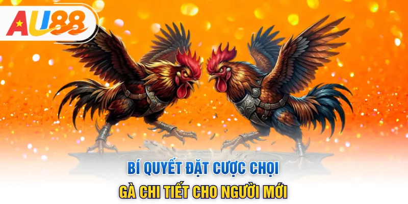 Bí quyết đặt cược chọi gà chi tiết cho người mới