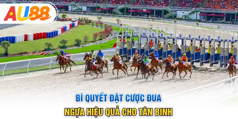 Bí quyết đặt cược đua ngựa hiệu quả cho tân binh