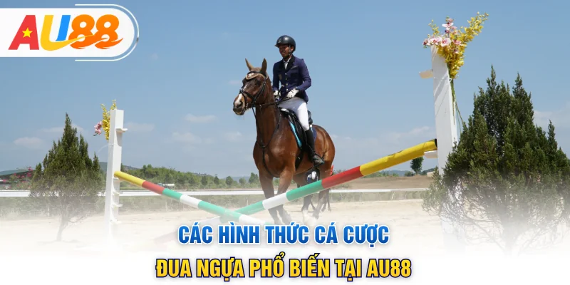 Các hình thức cá cược đua ngựa phổ biến tại AU88