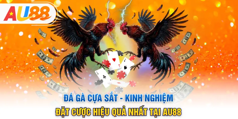 Đá Gà Cựa Sắt - Kinh Nghiệm Đặt Cược Hiệu Quả Nhất Tại AU88