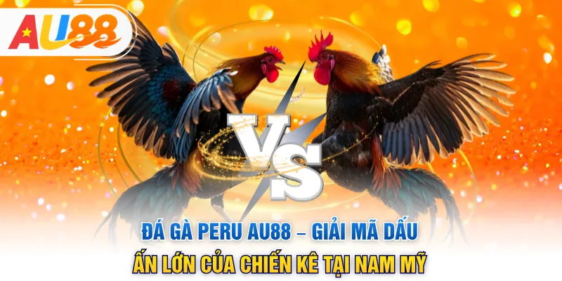 Đá Gà Peru Au88 – Giải Mã Dấu Ấn Lớn Của Chiến Kê Tại Nam Mỹ