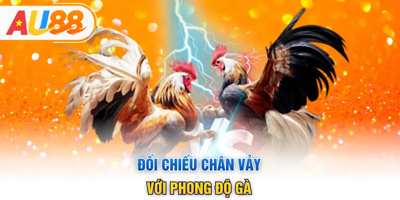 Đối chiếu chân vảy với phong độ gà