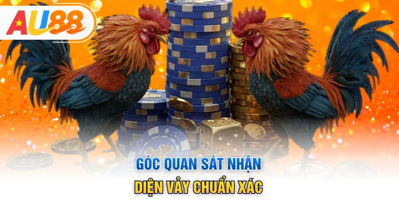 Góc quan sát nhận diện vảy chuẩn xác