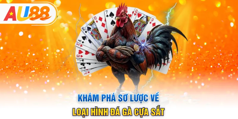 Khám phá sơ lược về loại hình đá gà cựa sắt