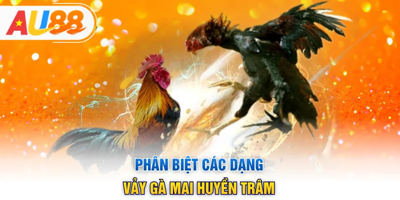 Phân biệt các dạng vảy gà mai huyền trâm