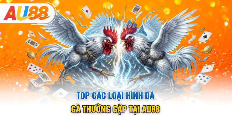 Top các loại hình đá gà thường gặp tại AU88